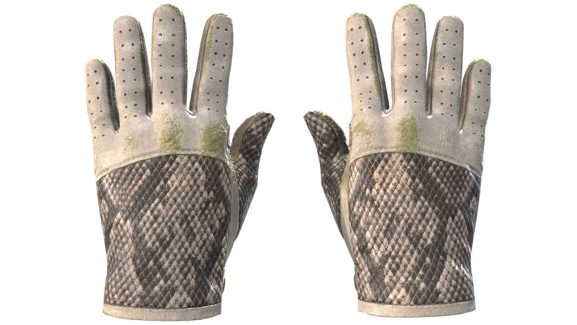 King Snake image