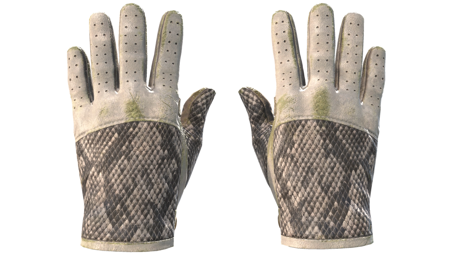King Snake image