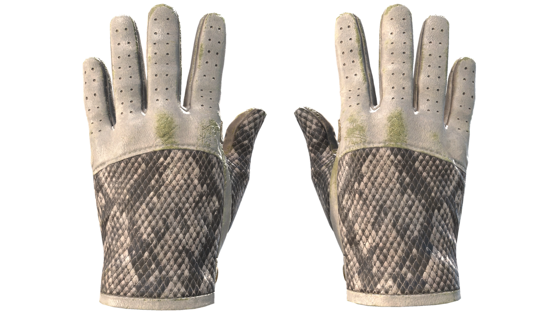 King Snake image