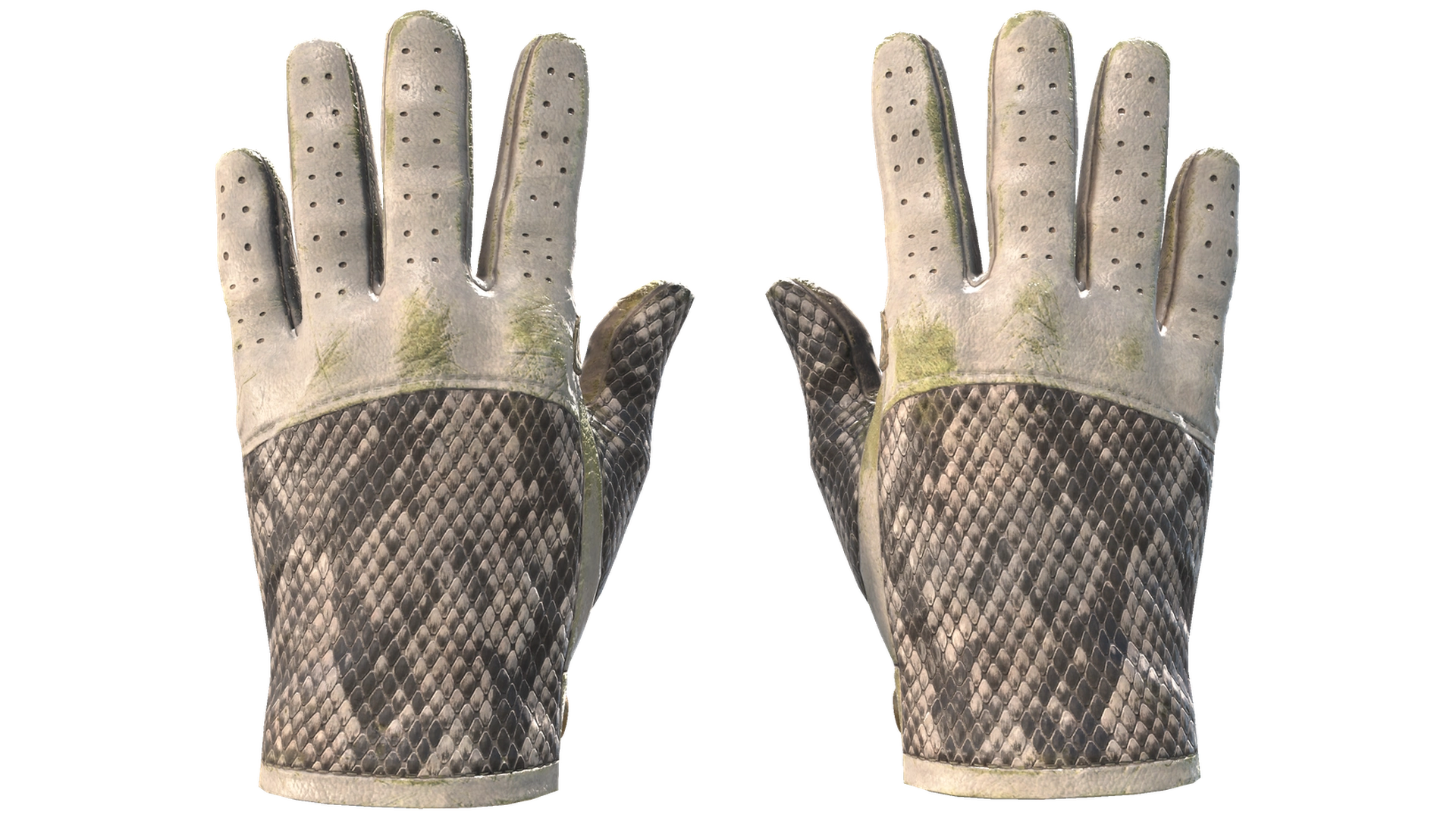King Snake image