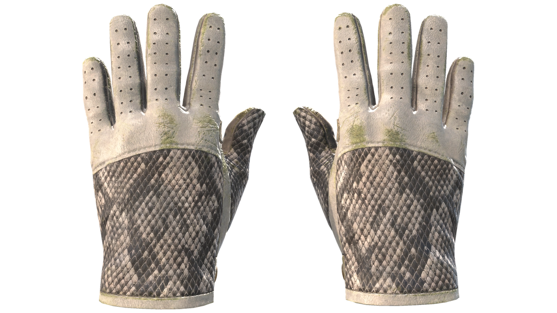 King Snake image