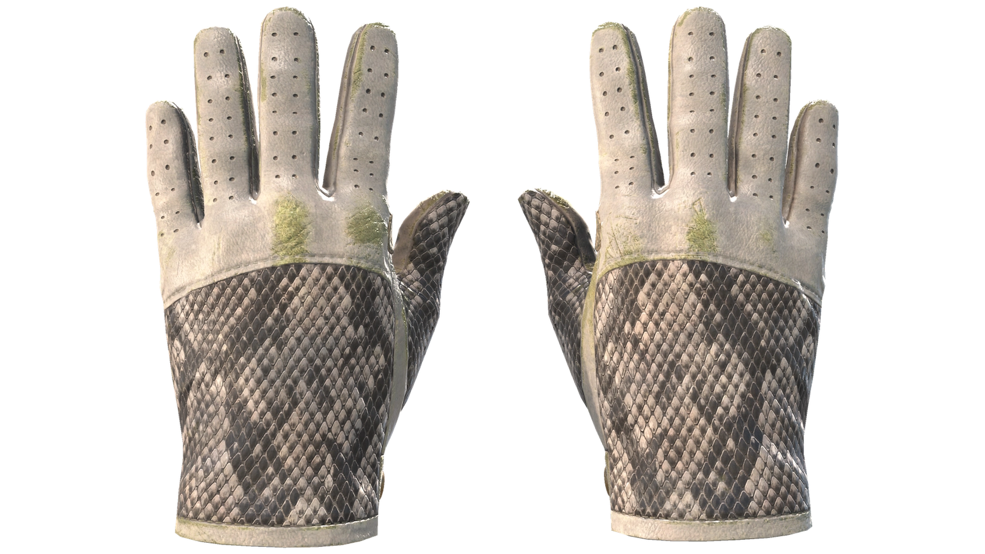 King Snake image