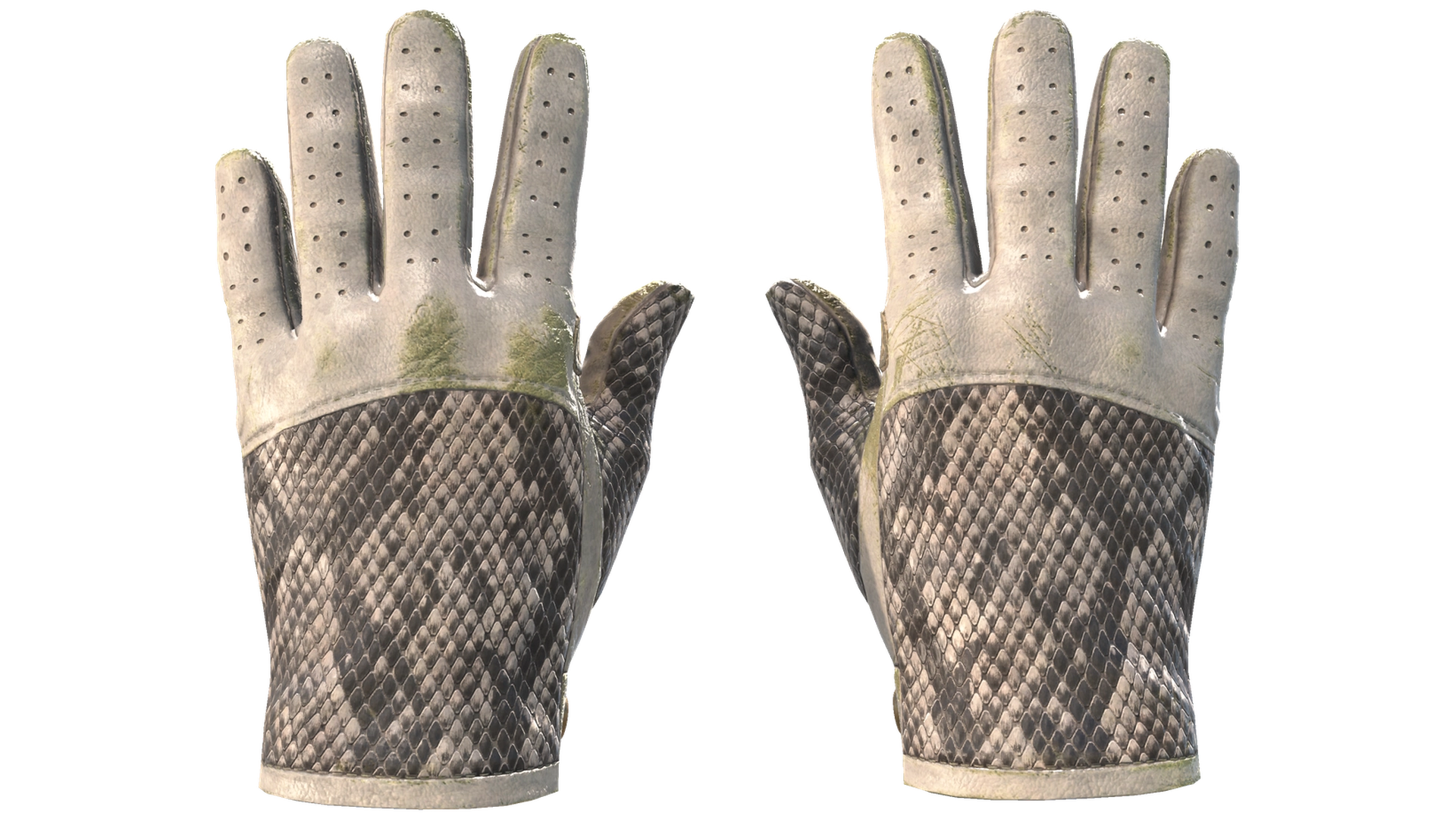 King Snake image