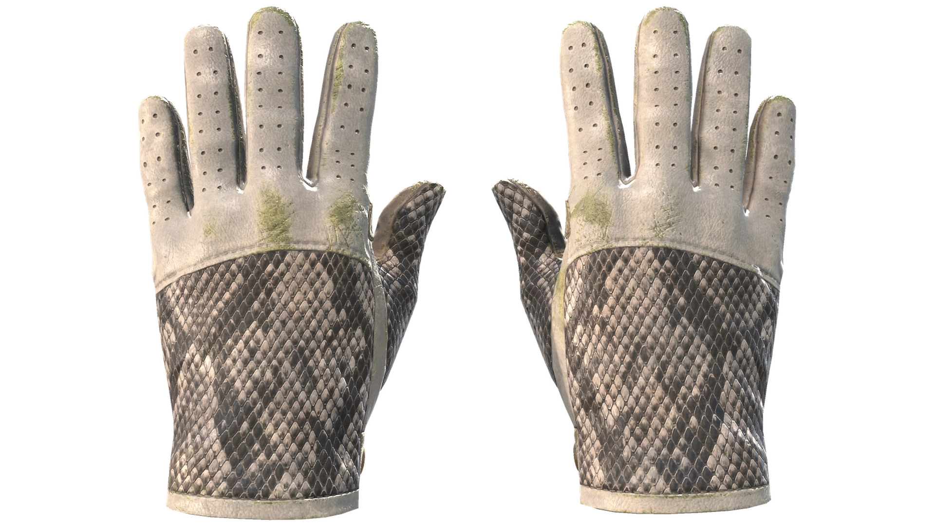 King Snake image