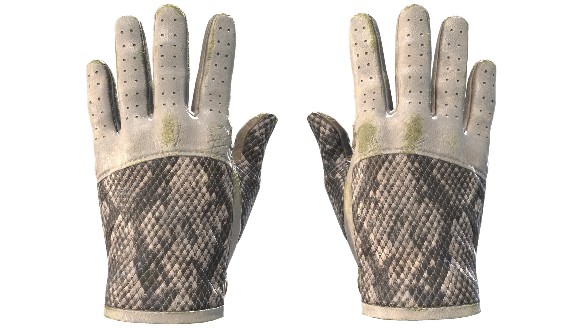 King Snake image