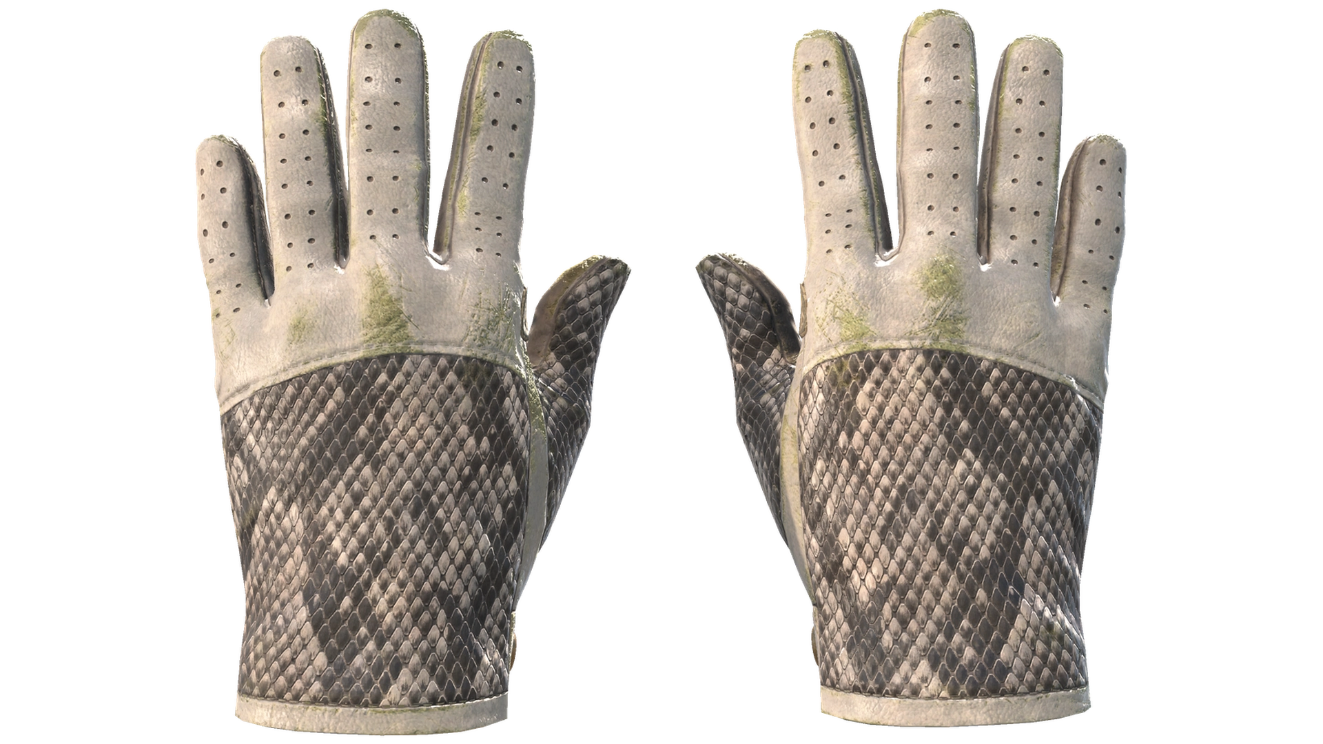 King Snake image