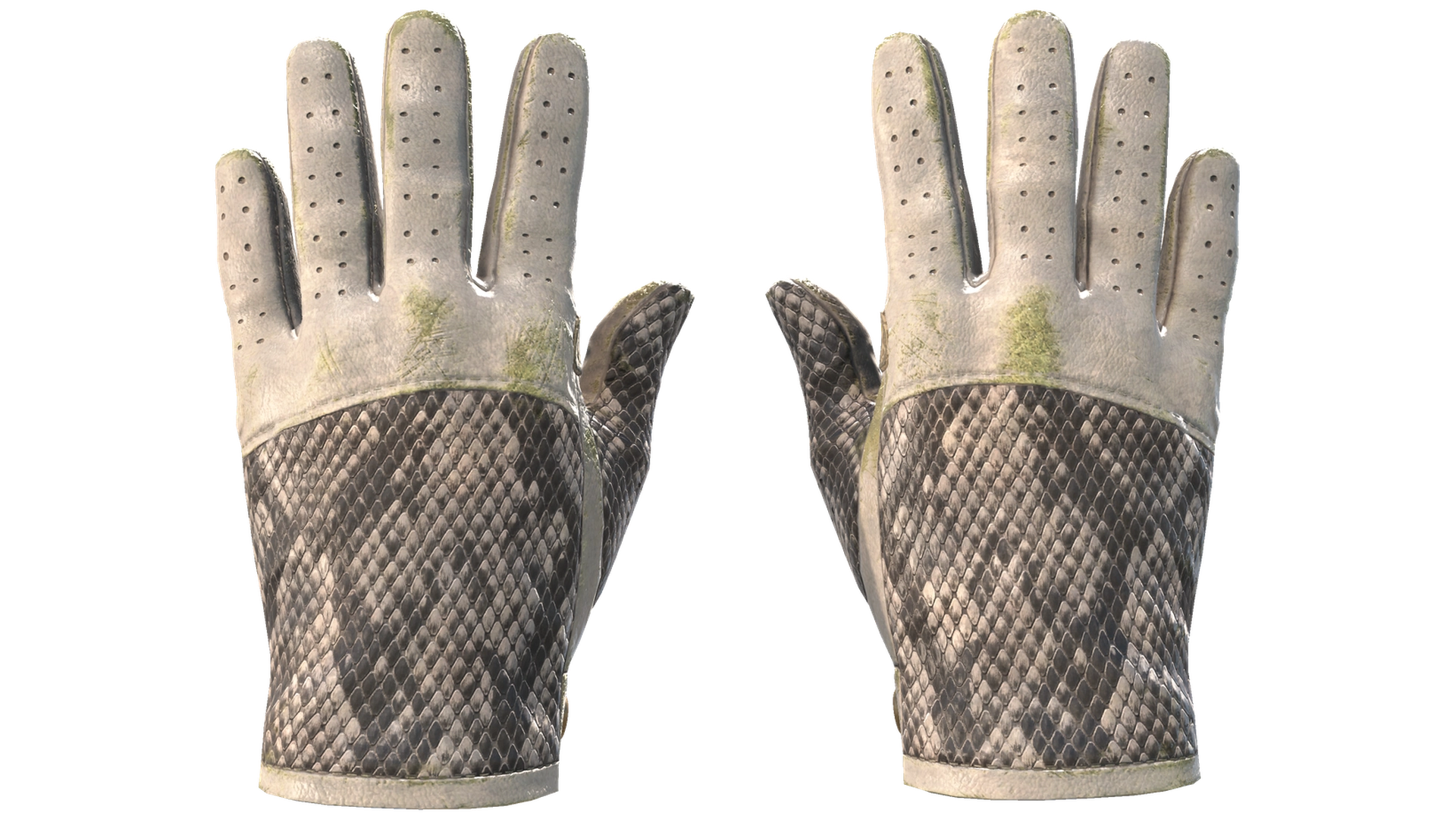 King Snake image