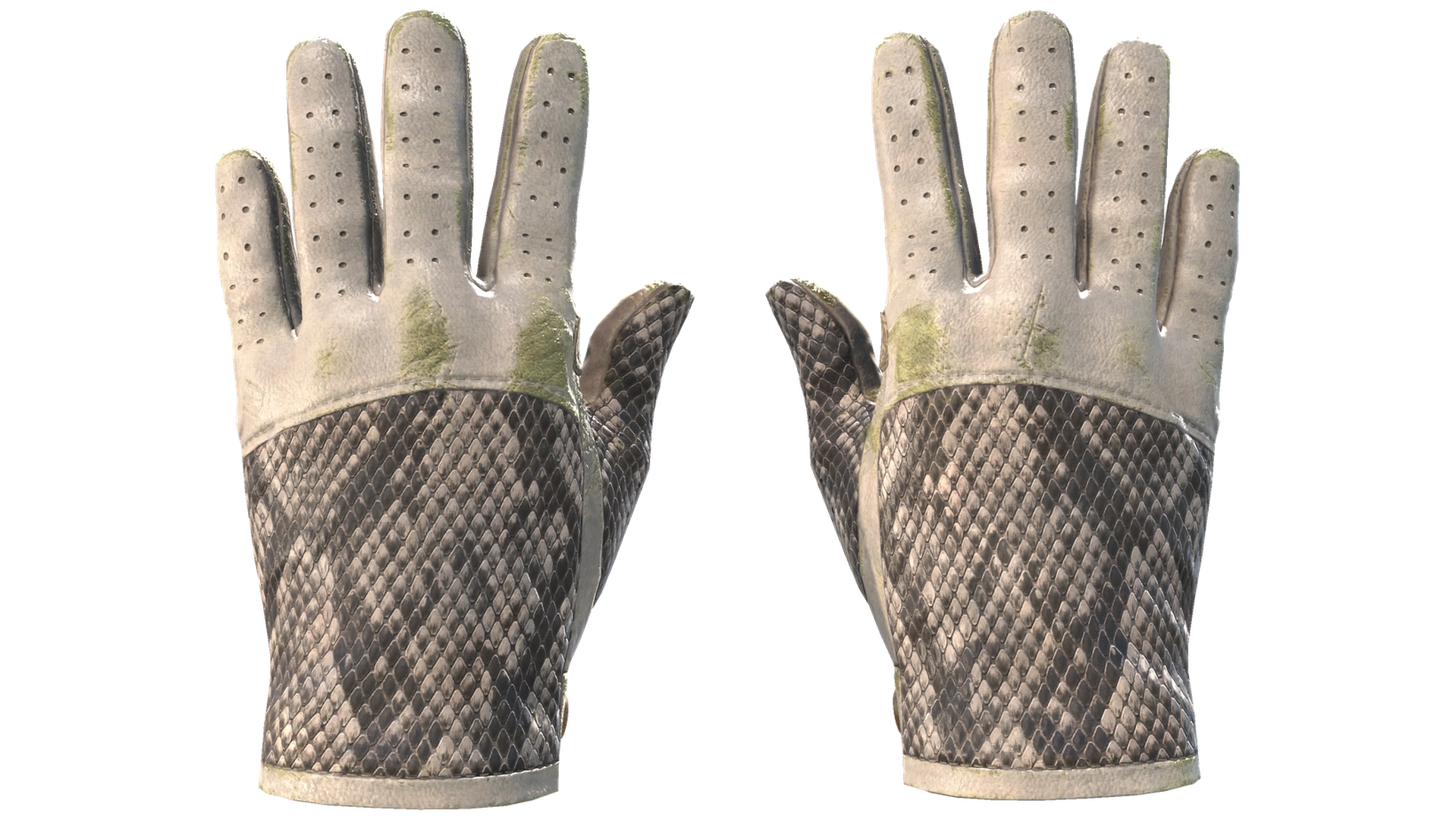 King Snake image