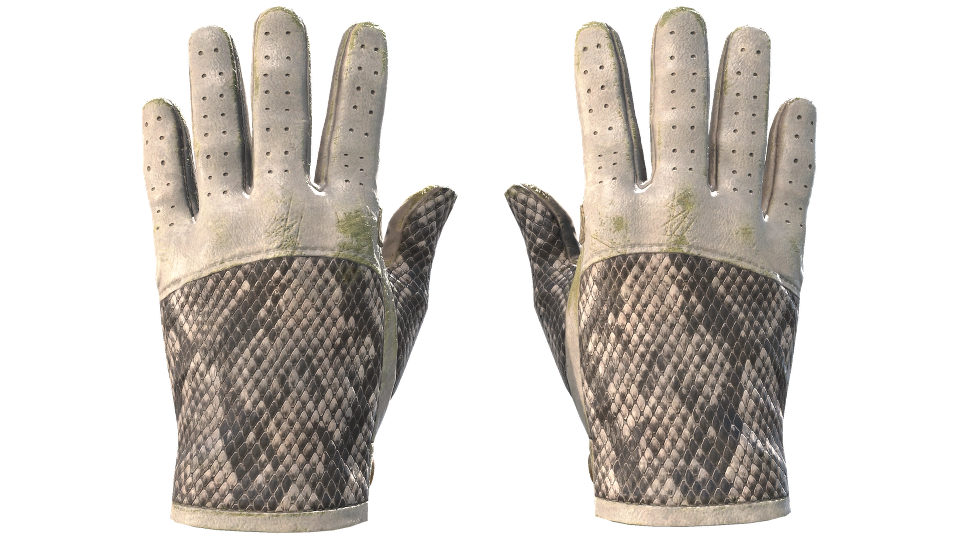 King Snake image