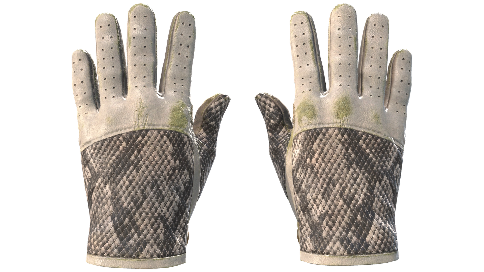 King Snake image