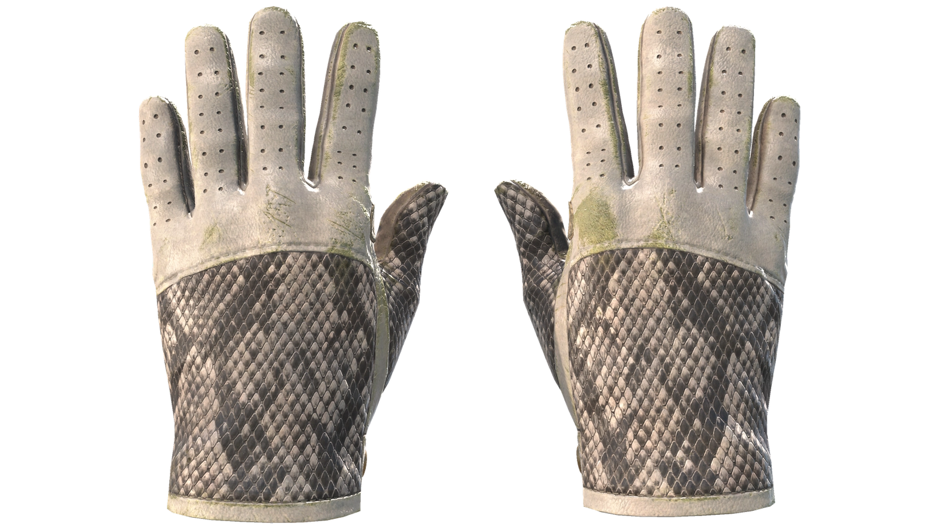 King Snake image
