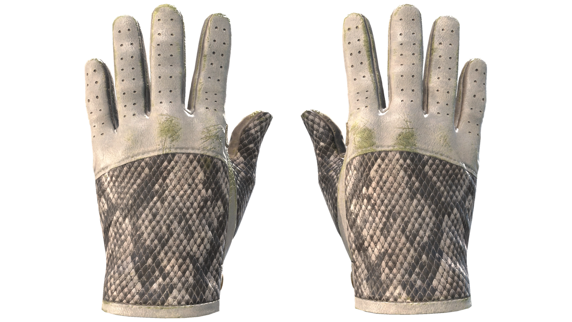 King Snake image