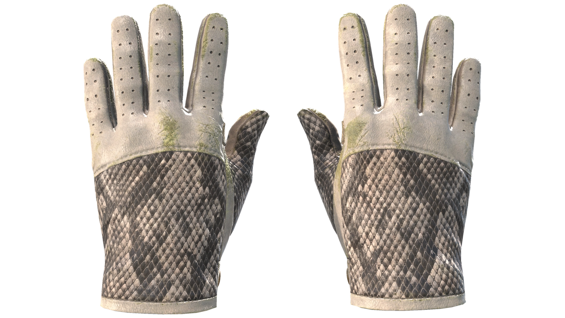 King Snake image