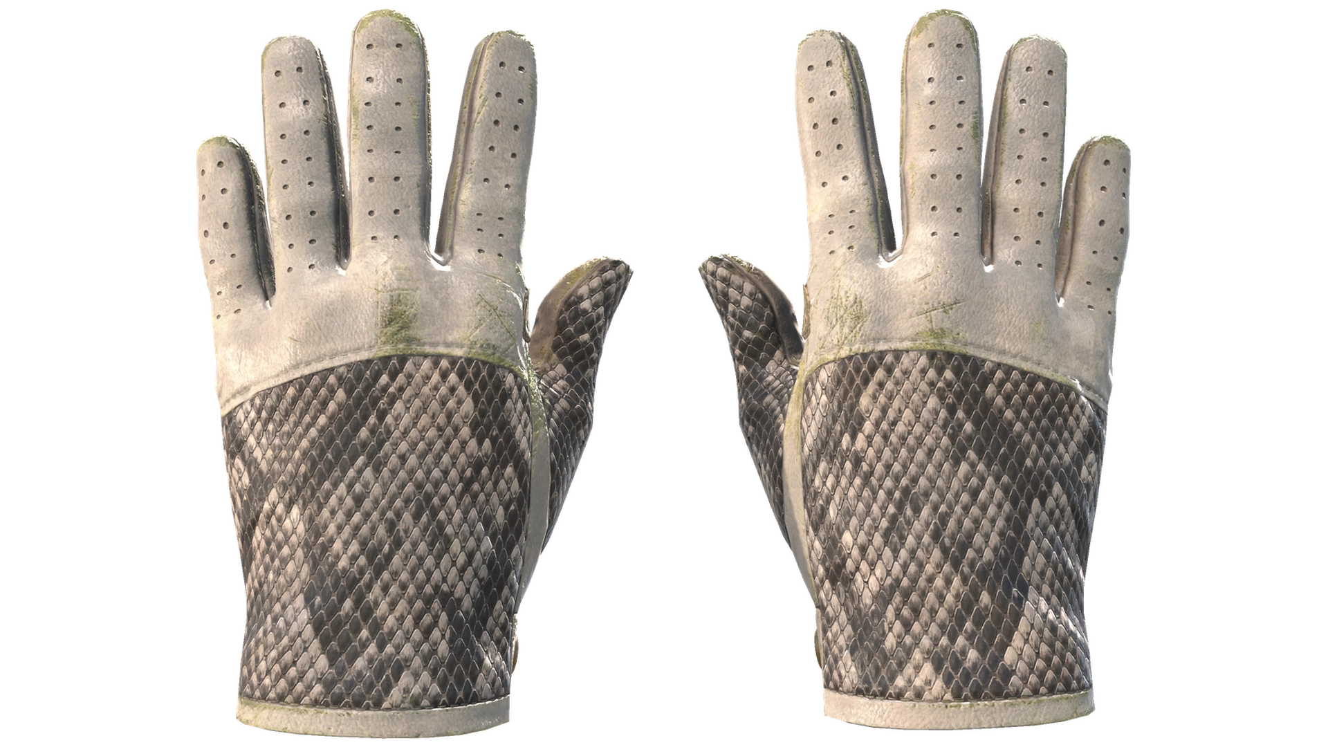 King Snake image