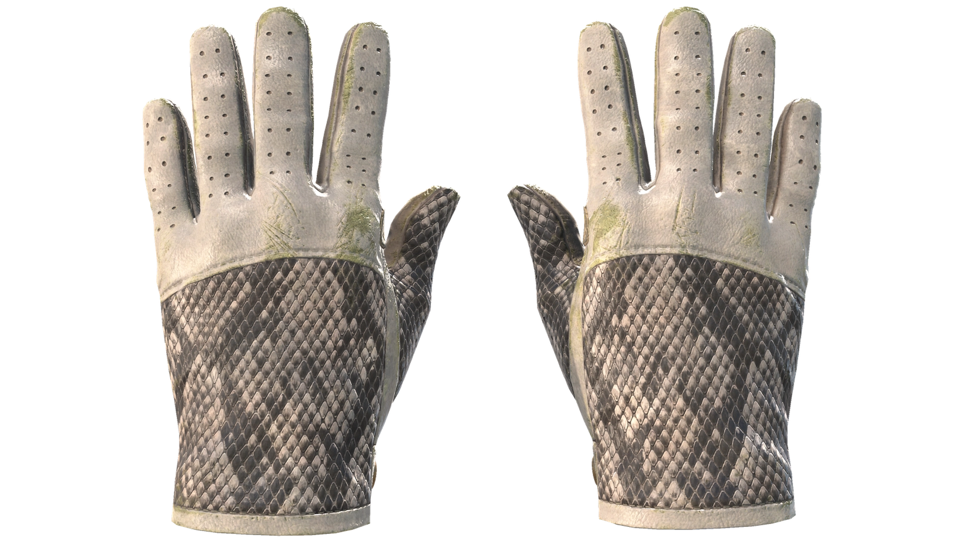 King Snake image