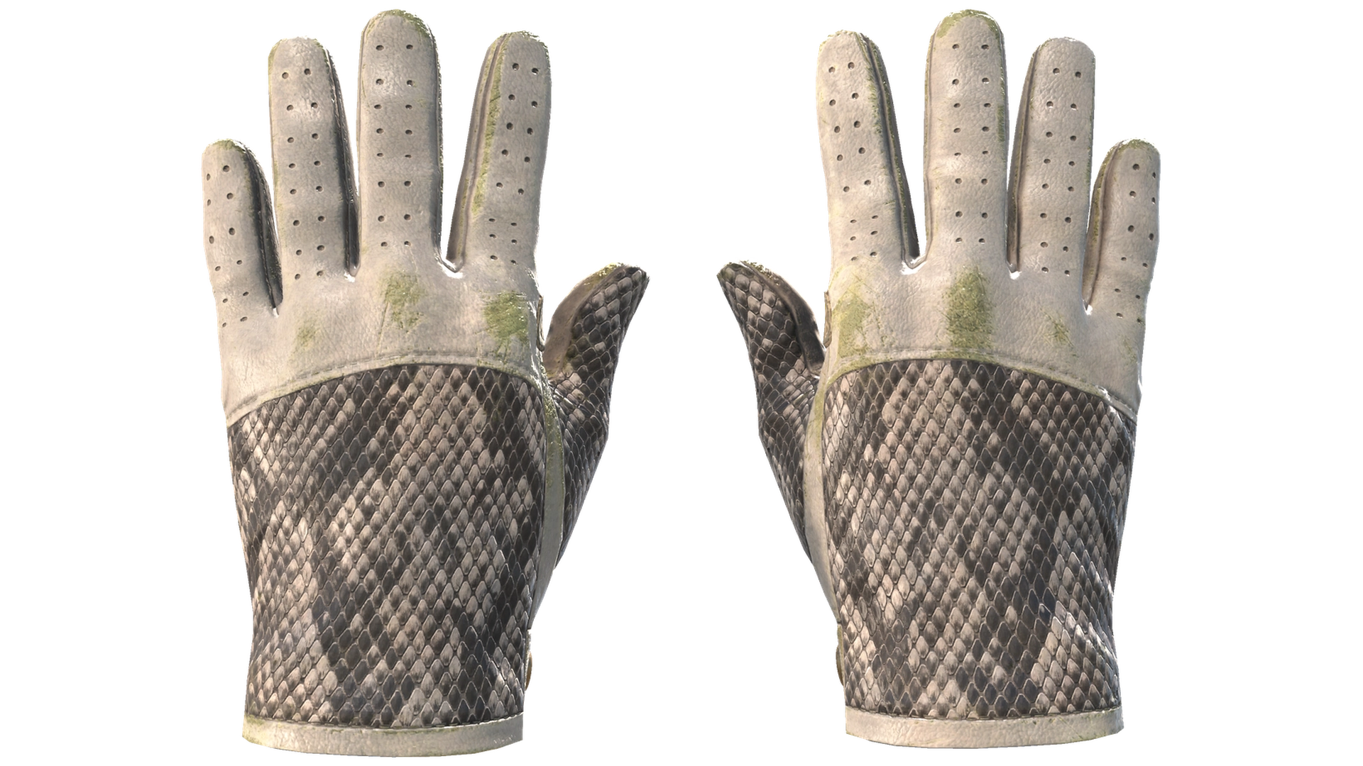 King Snake image