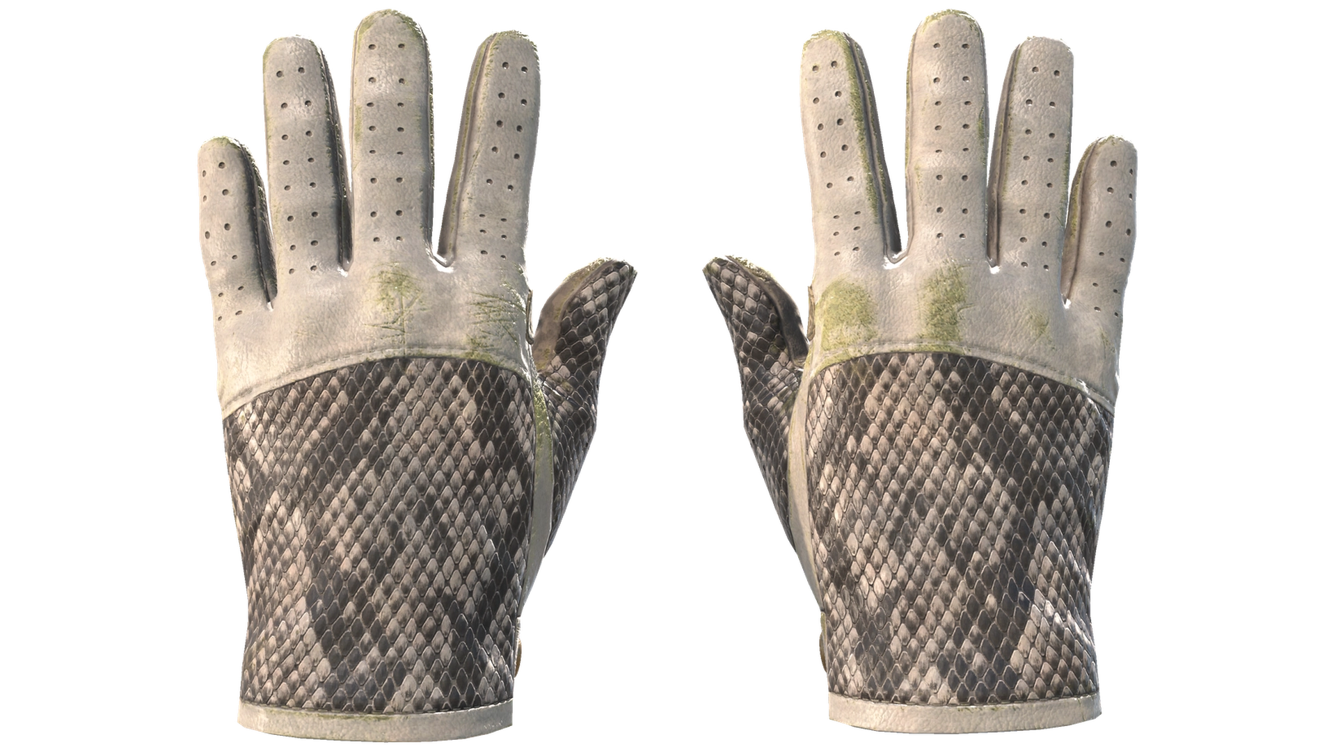 King Snake image
