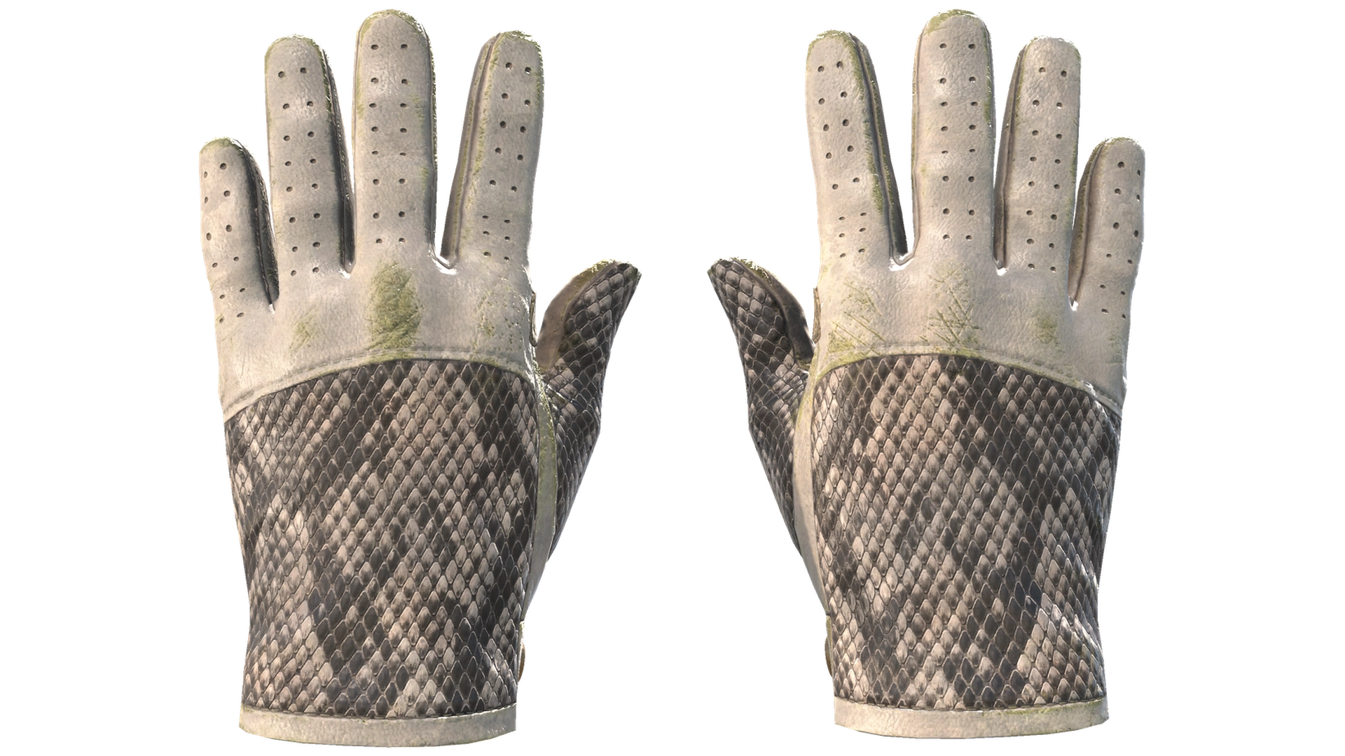 King Snake image