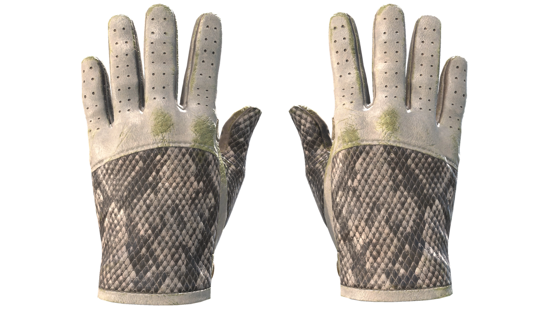 King Snake image