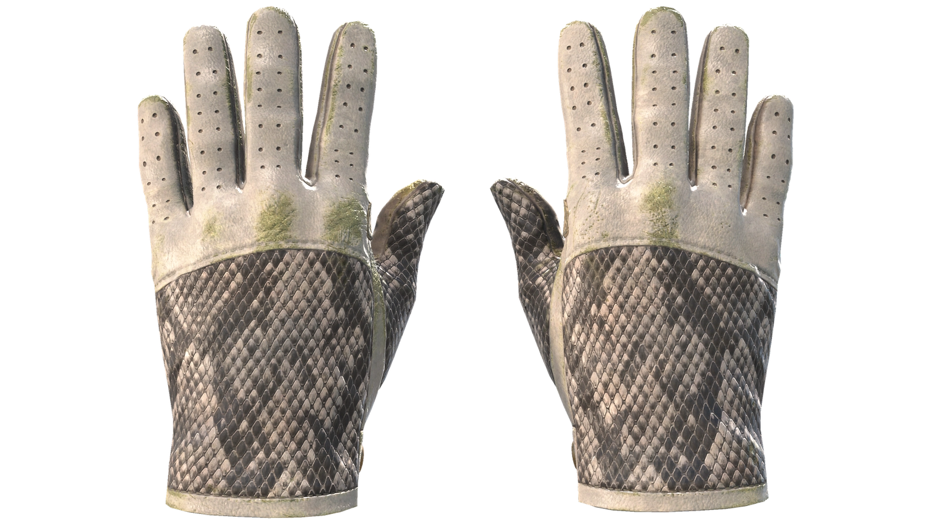 King Snake image