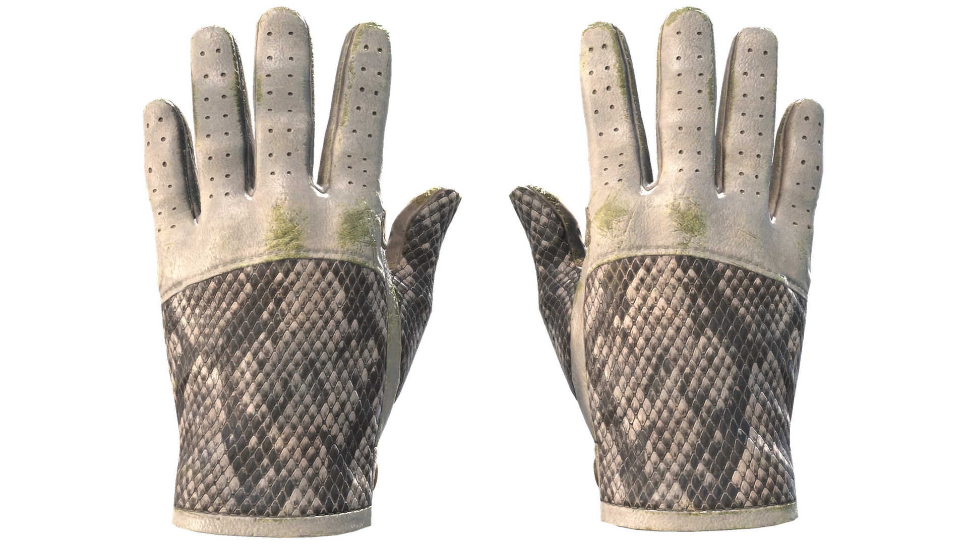 King Snake image
