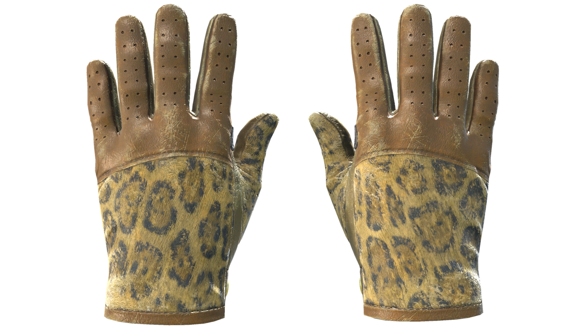 Queen Jaguar image