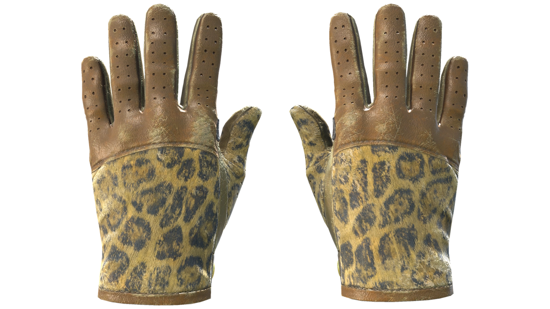 Queen Jaguar image