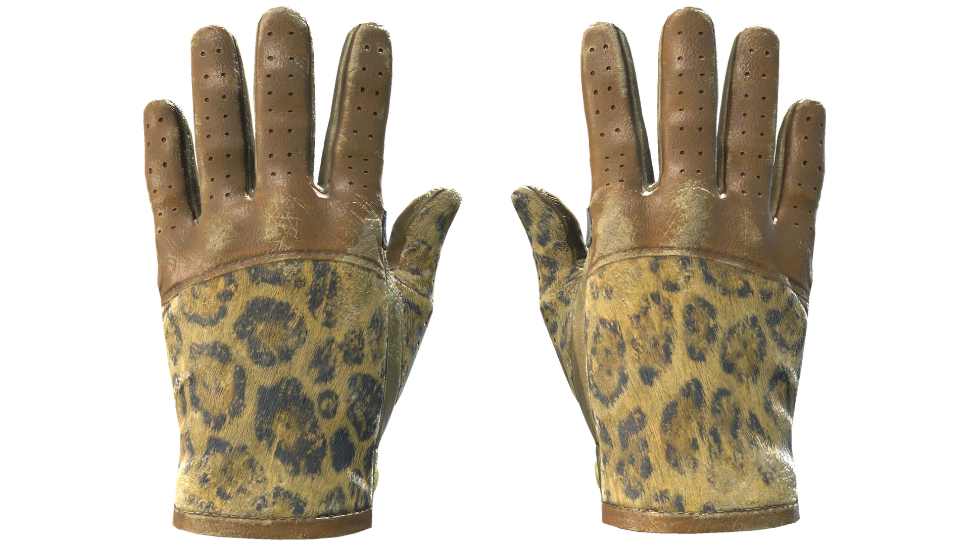 Queen Jaguar image