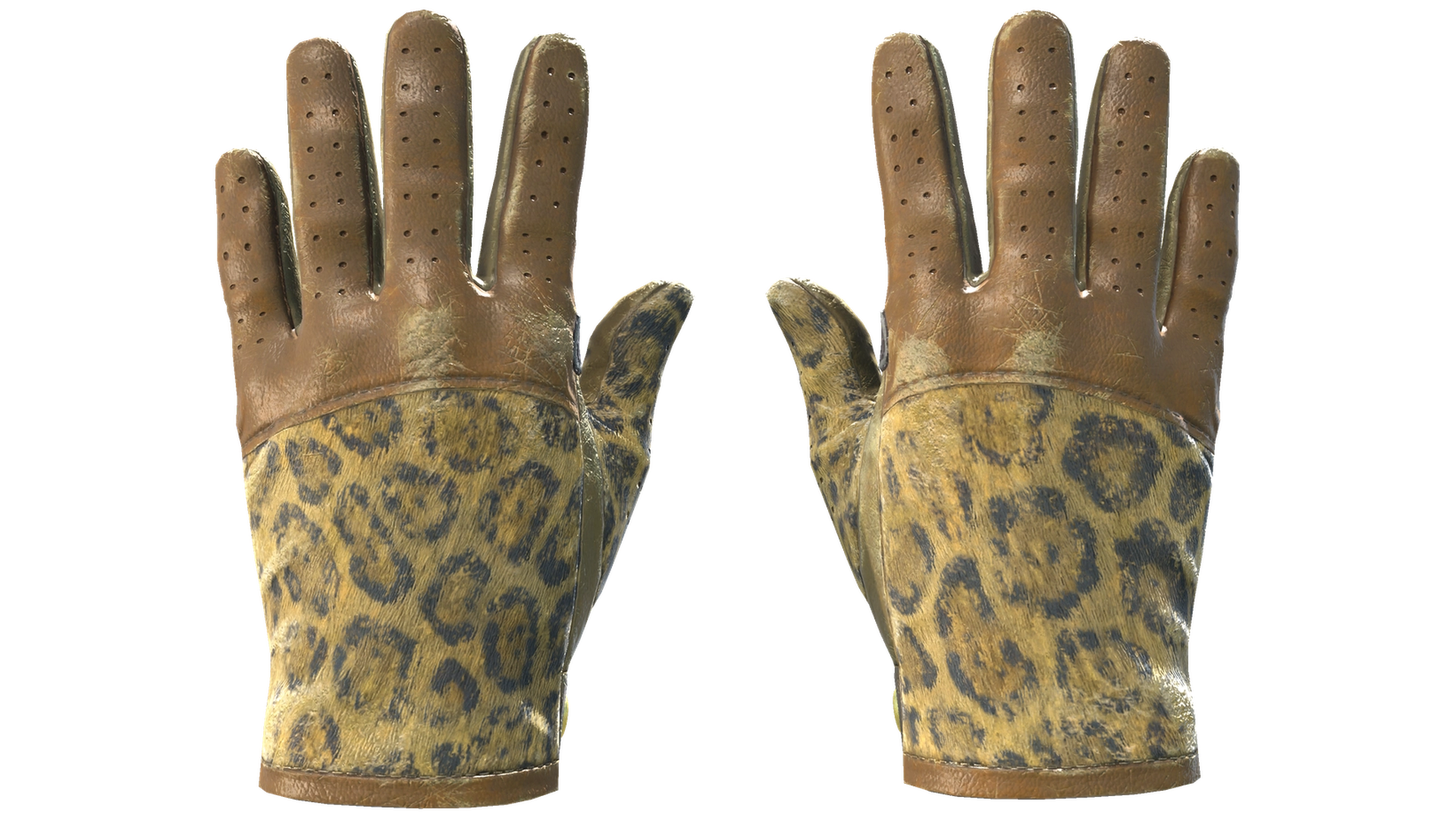 Queen Jaguar image
