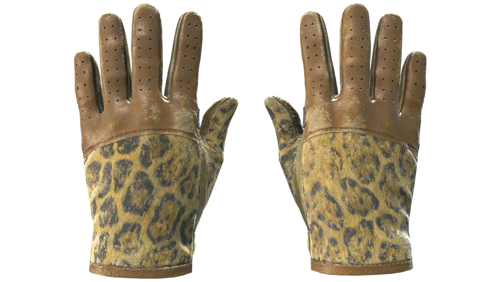Queen Jaguar image
