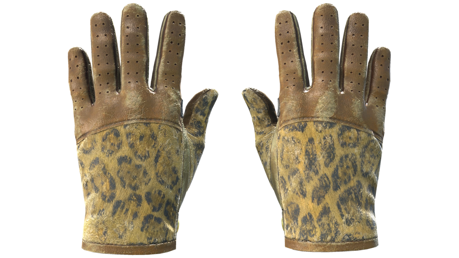 Queen Jaguar image