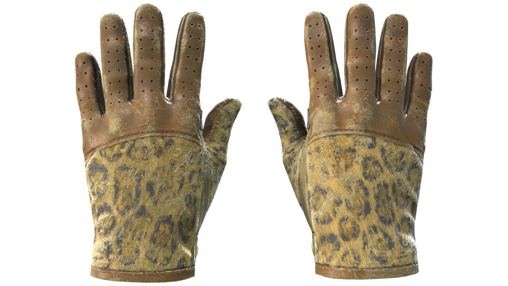 Queen Jaguar image