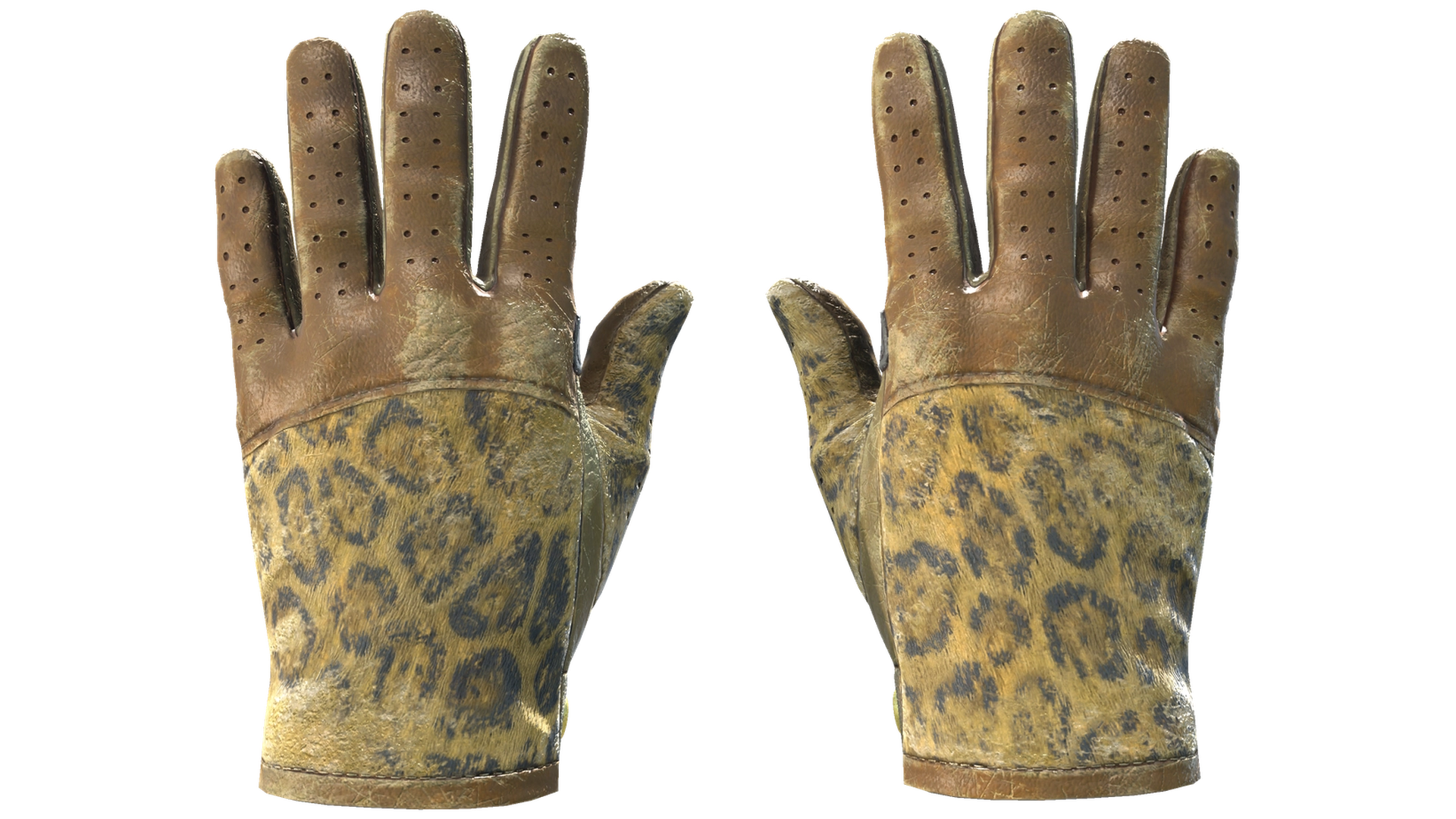 Queen Jaguar image