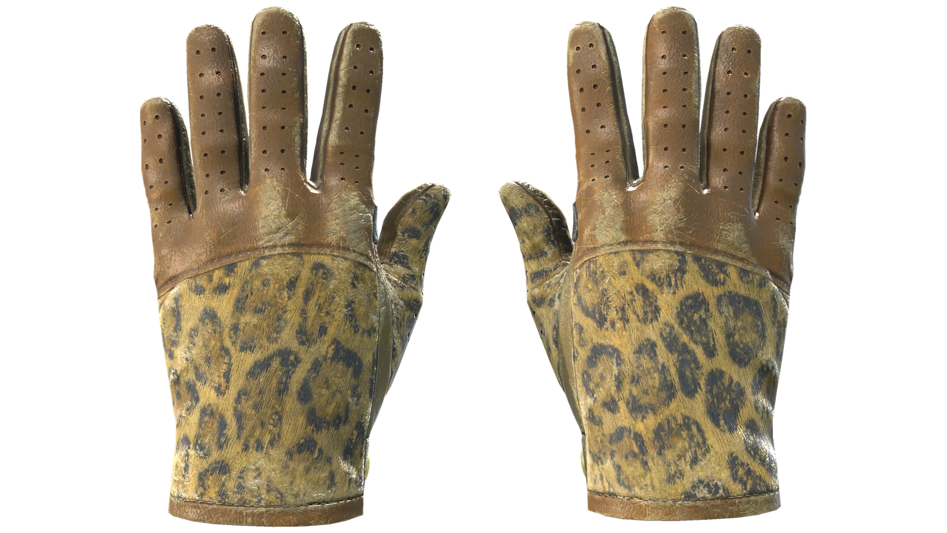 Queen Jaguar image