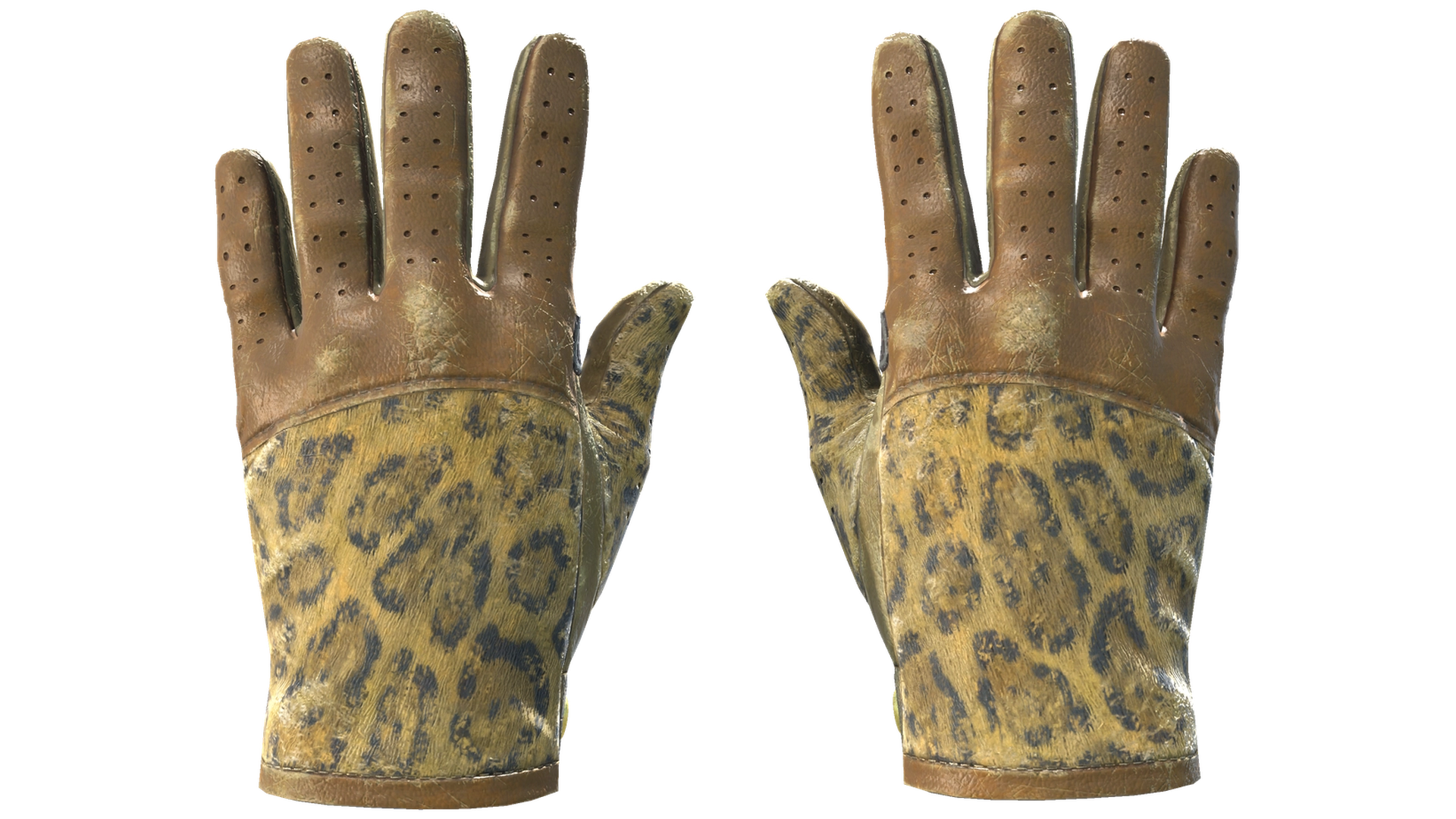 Queen Jaguar image