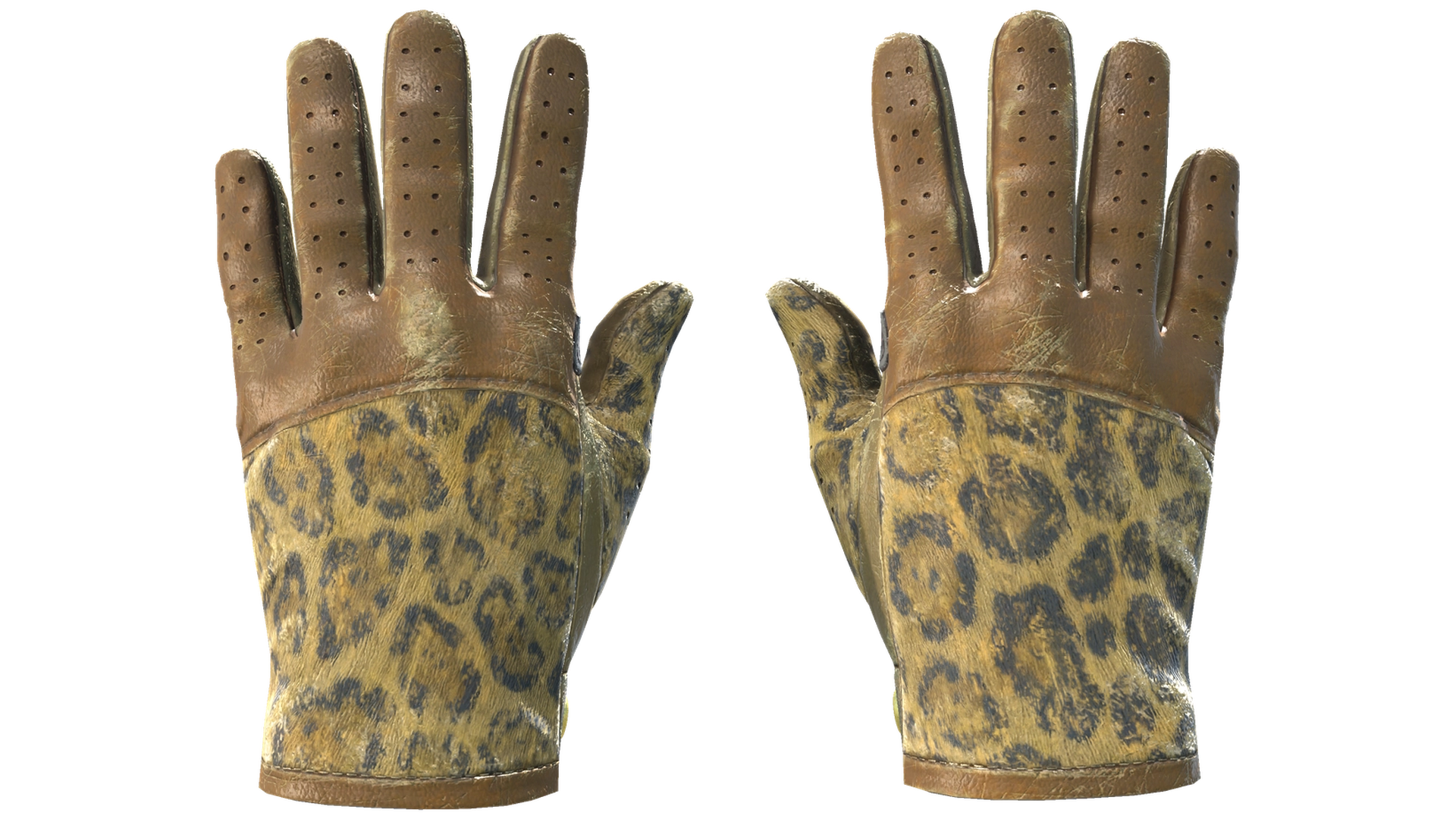 Queen Jaguar image