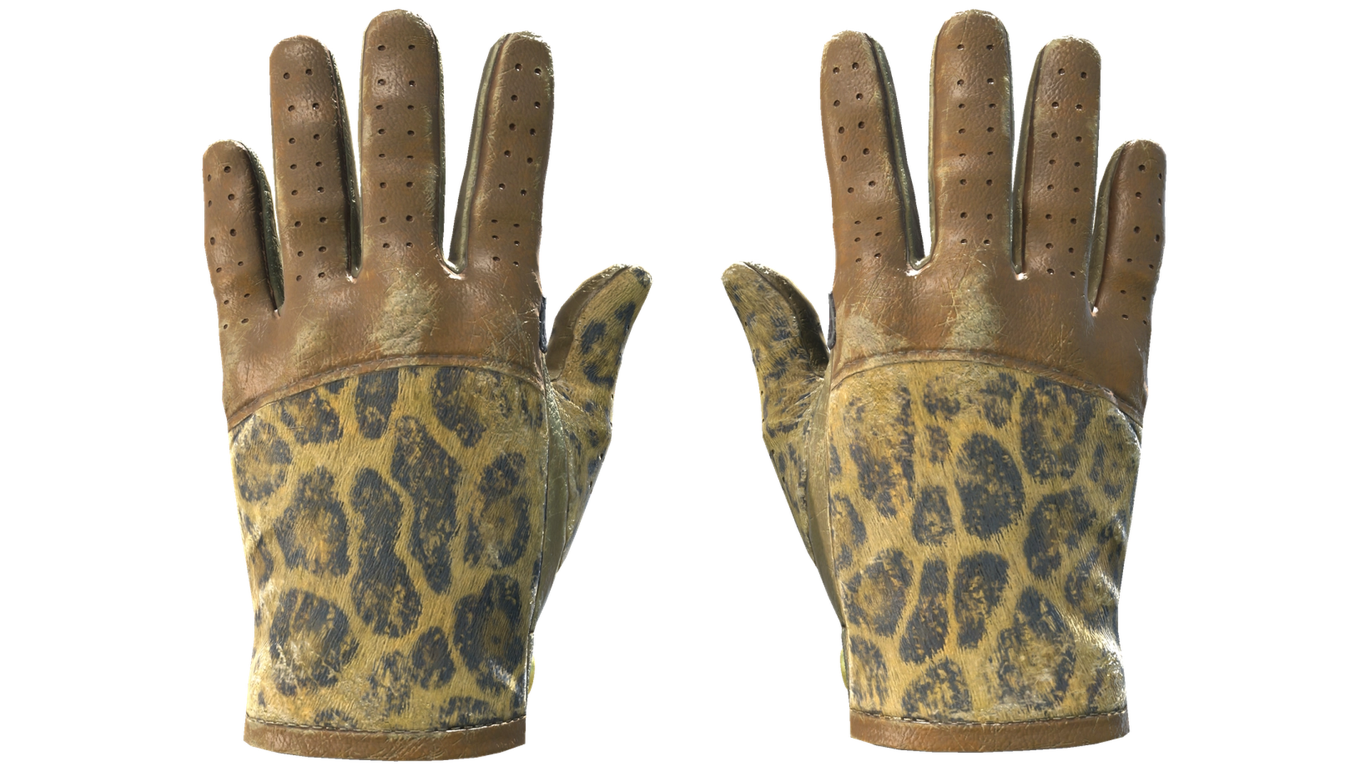 Queen Jaguar image