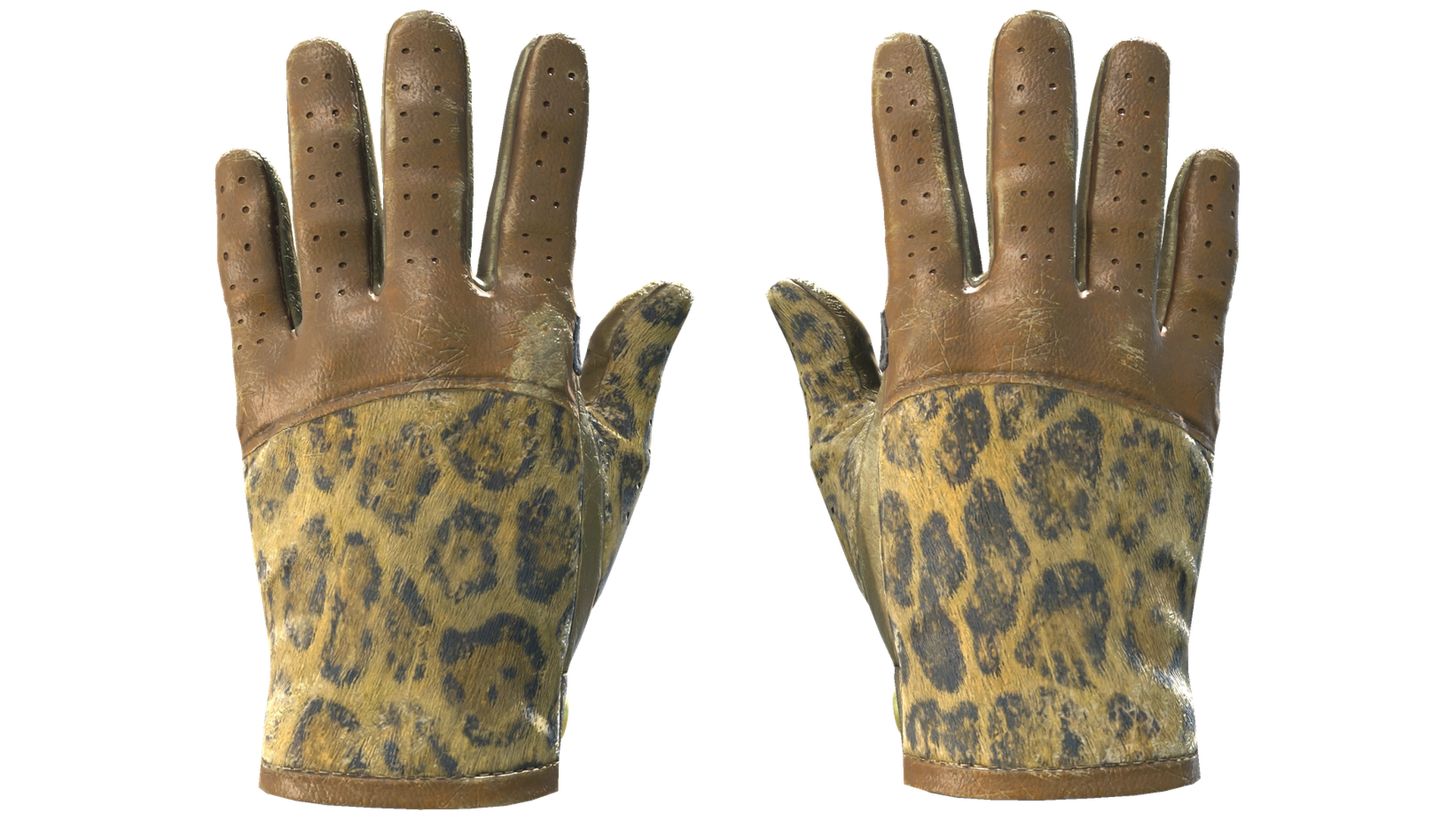 Queen Jaguar image