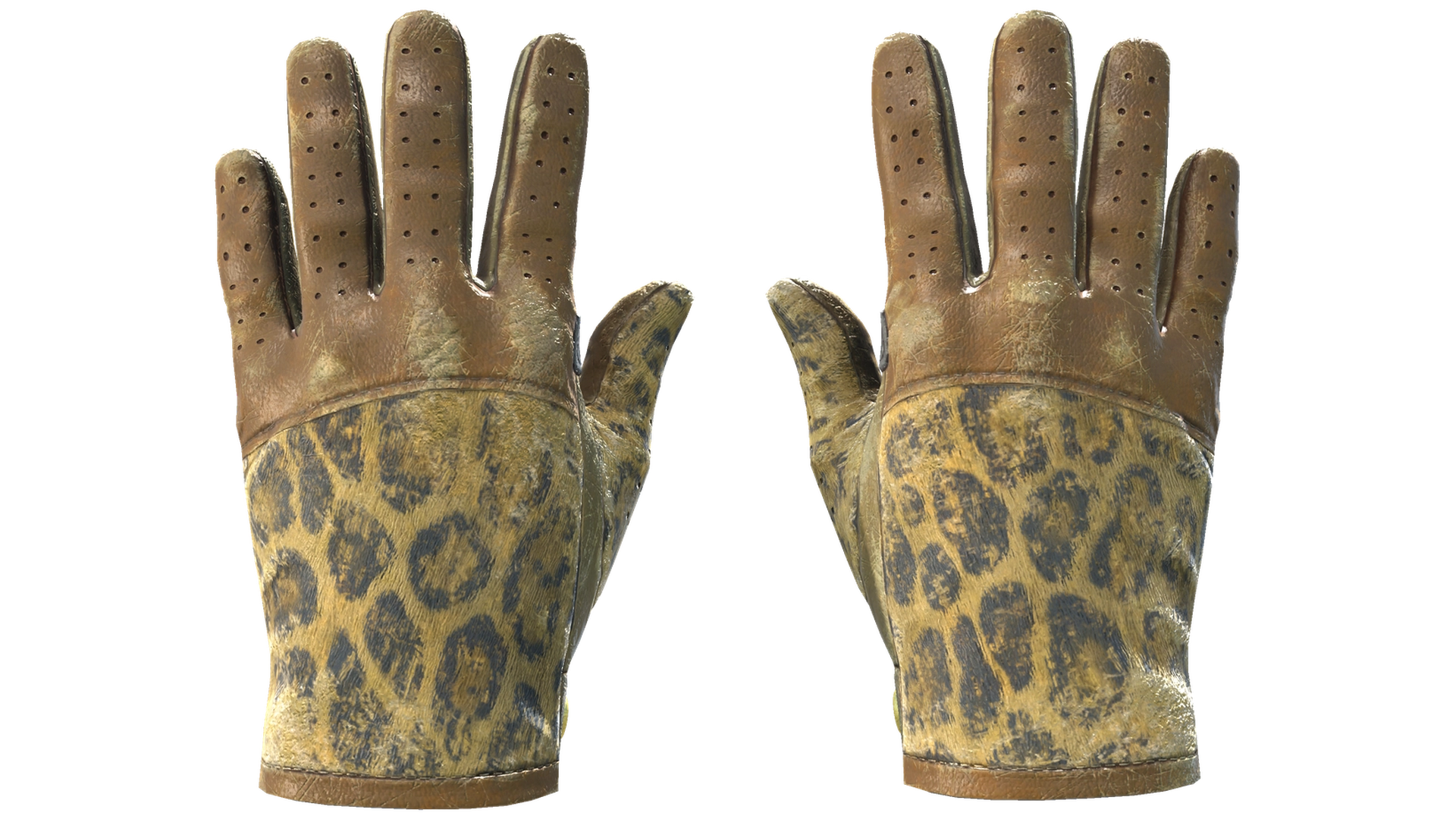 Queen Jaguar image