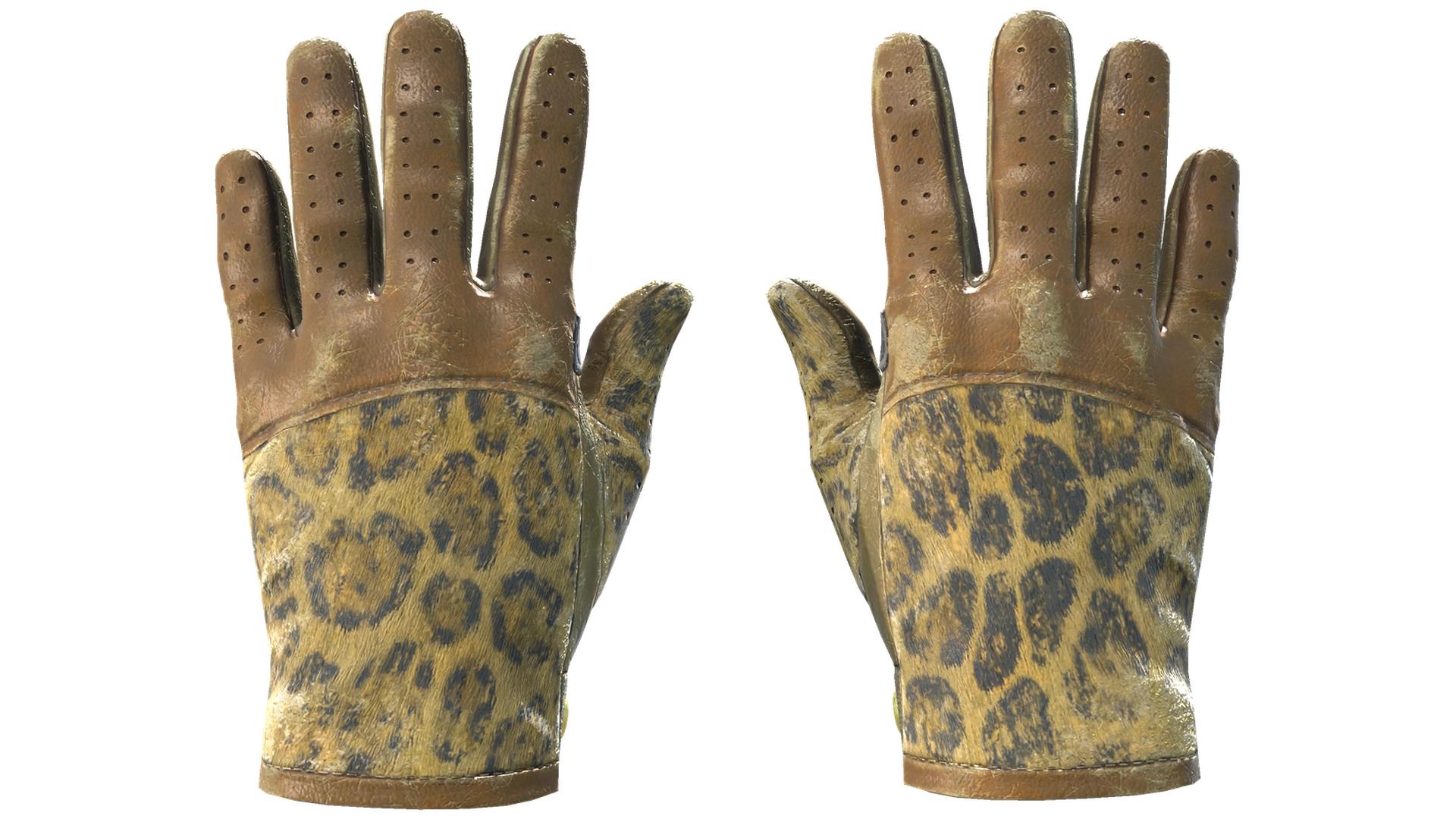 Queen Jaguar image