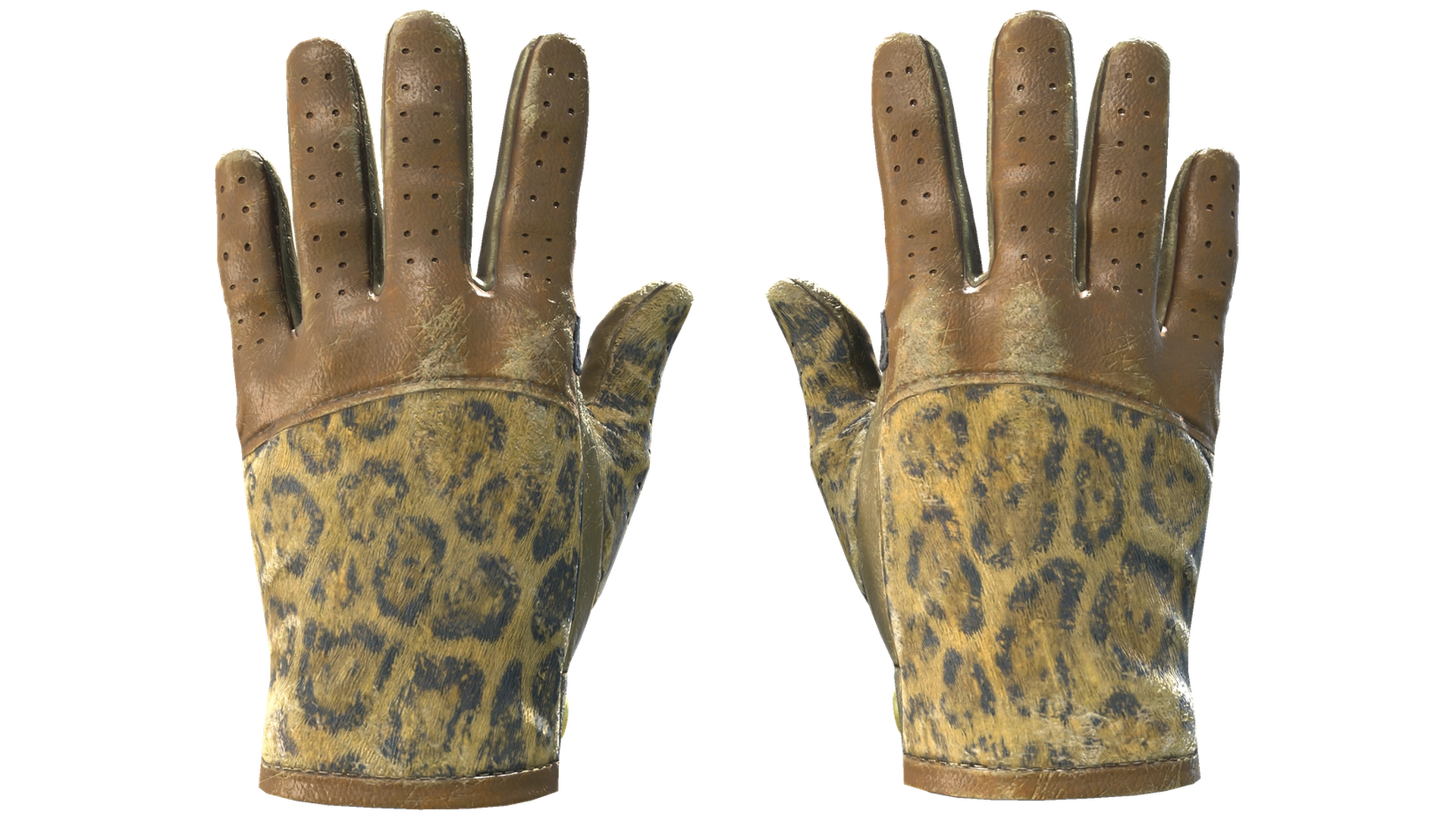 Queen Jaguar image