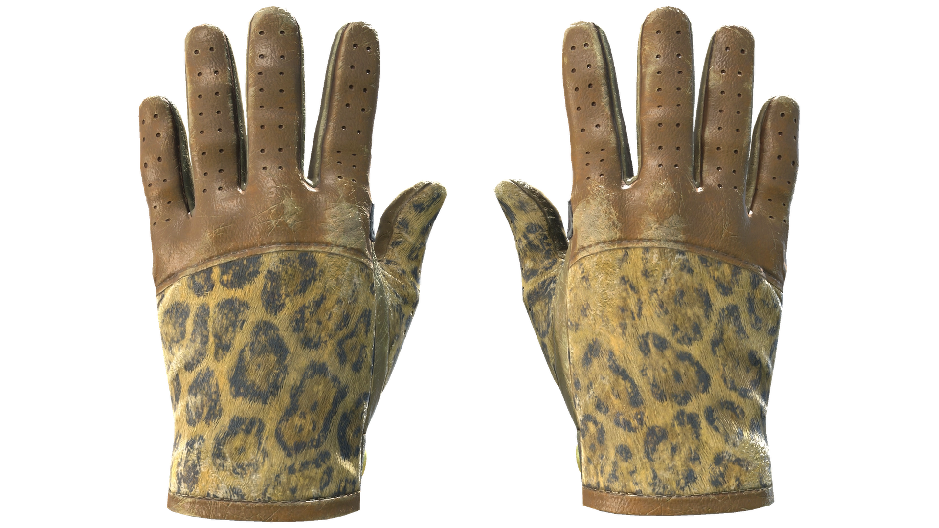 Queen Jaguar image