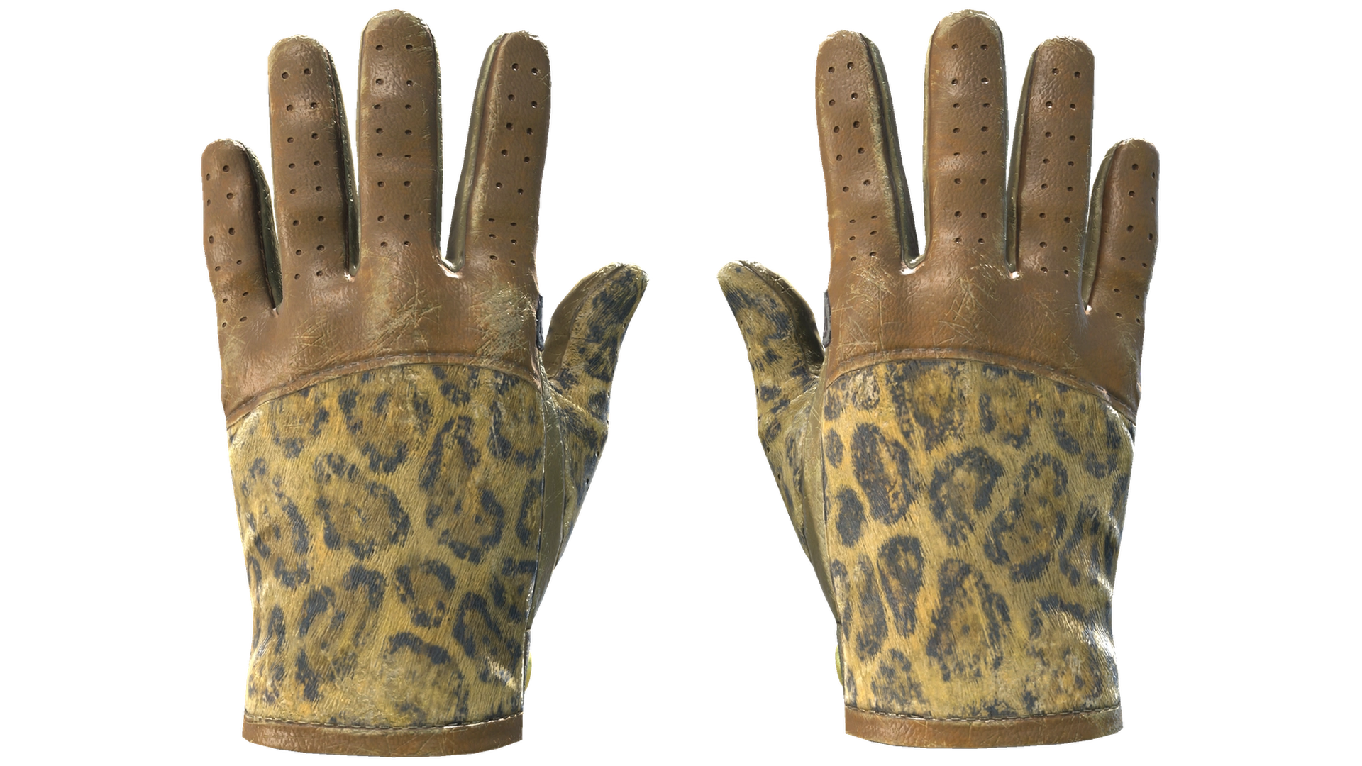 Queen Jaguar image