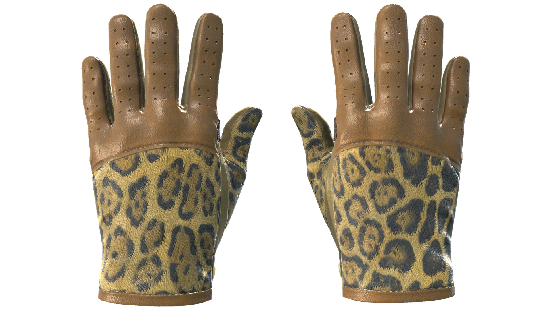 Queen Jaguar image