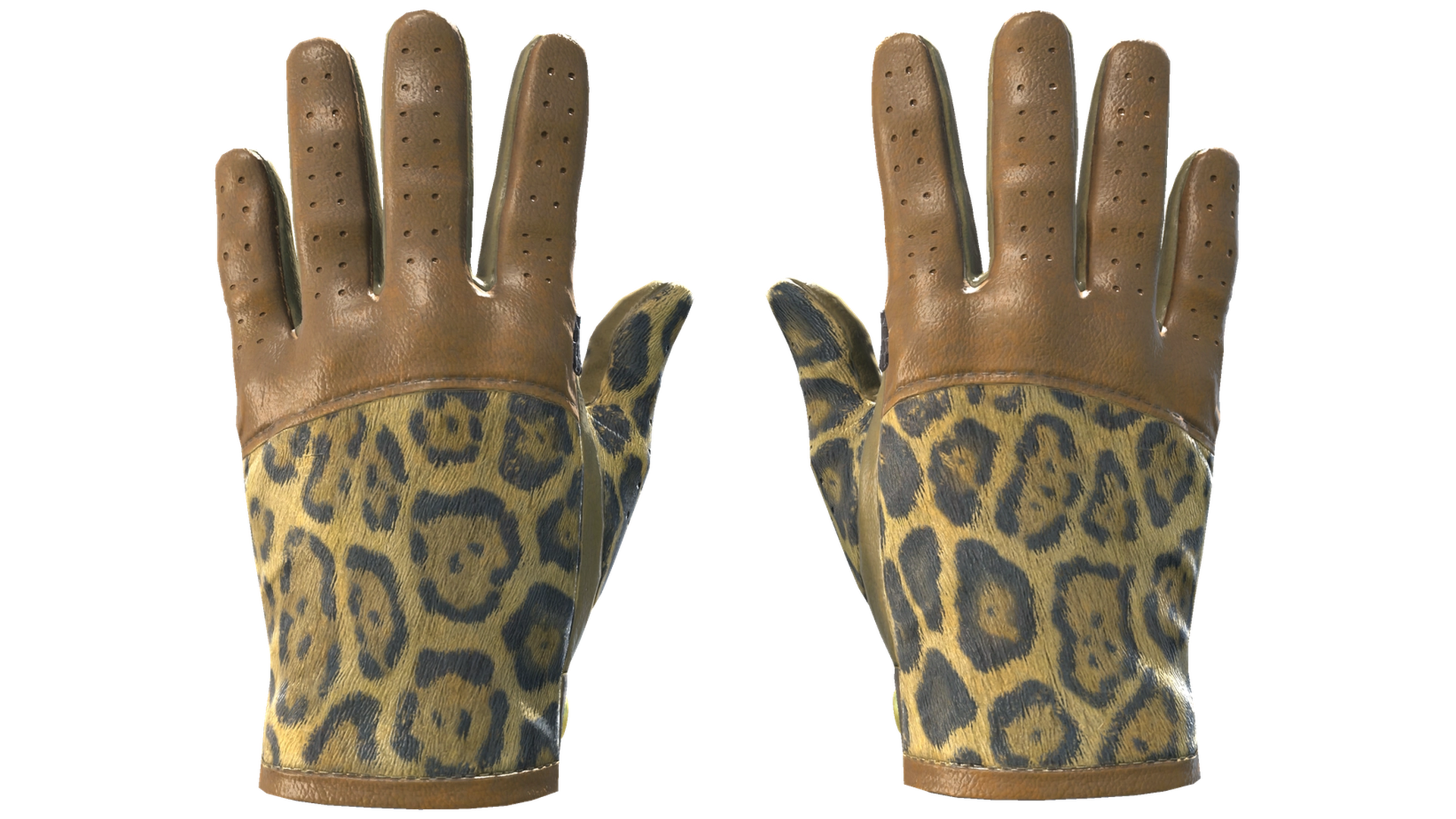Queen Jaguar image