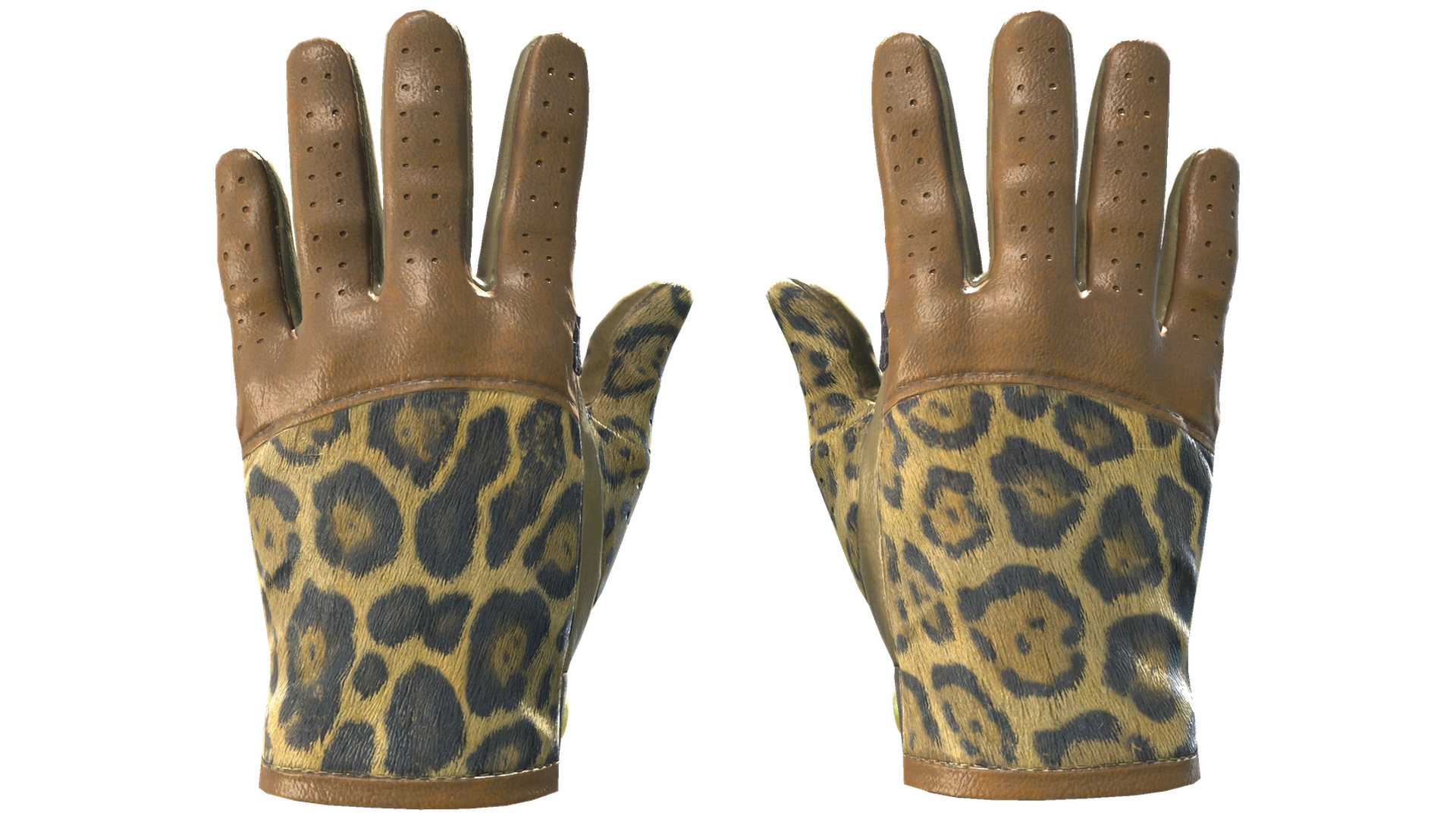 Queen Jaguar image