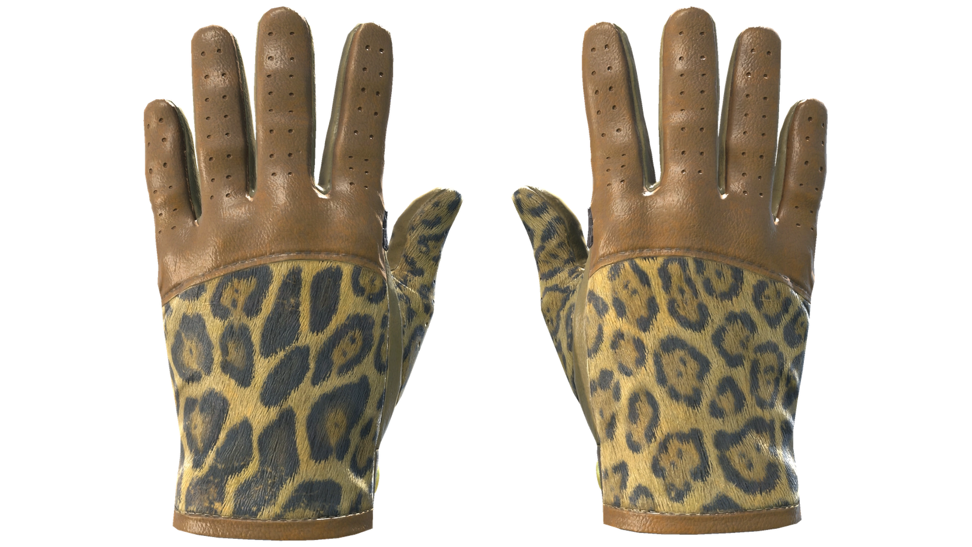 Queen Jaguar image