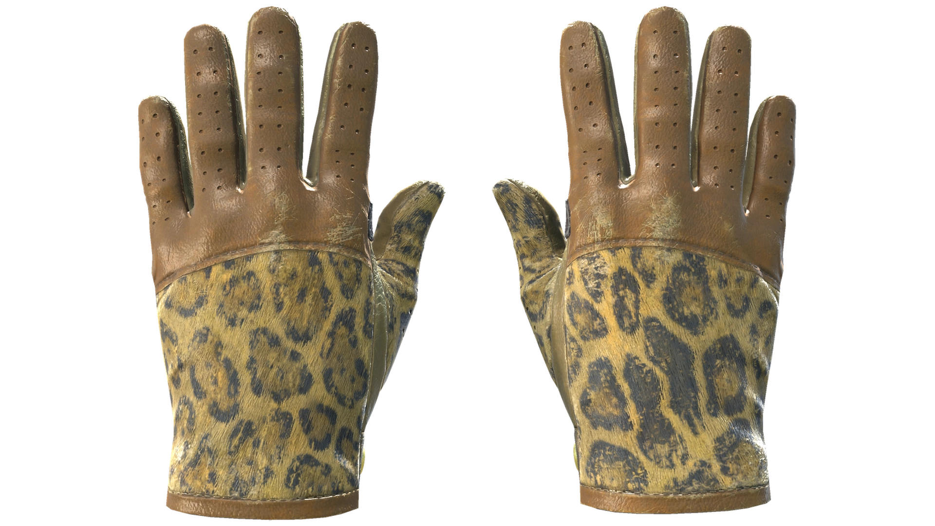 Queen Jaguar image