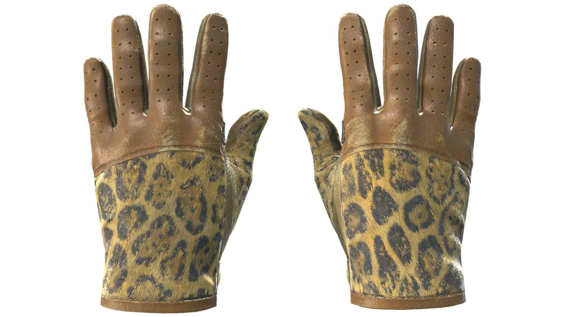 Queen Jaguar image