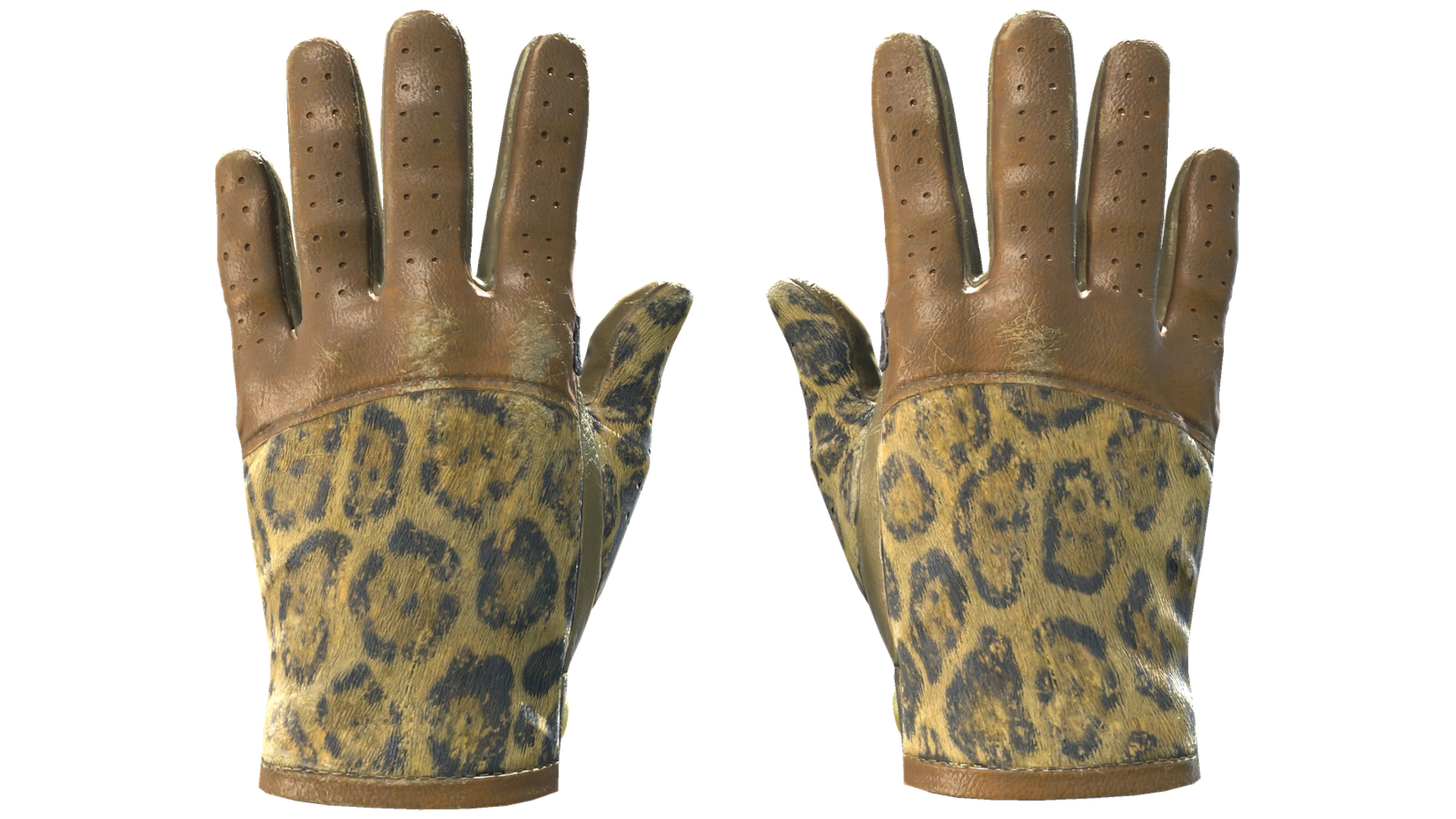 Queen Jaguar image